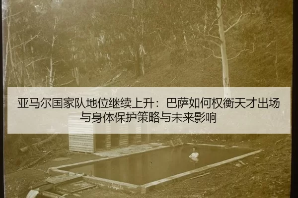 ya-ma-er-guo-jia-dui-di-wei-ji-xu-shang-sheng-ba-sa-ru-he-quan-heng-tian-cai-chu-chang-yu-shen-ti-bao-hu-ce-lve-yu-wei-2-546.jpg